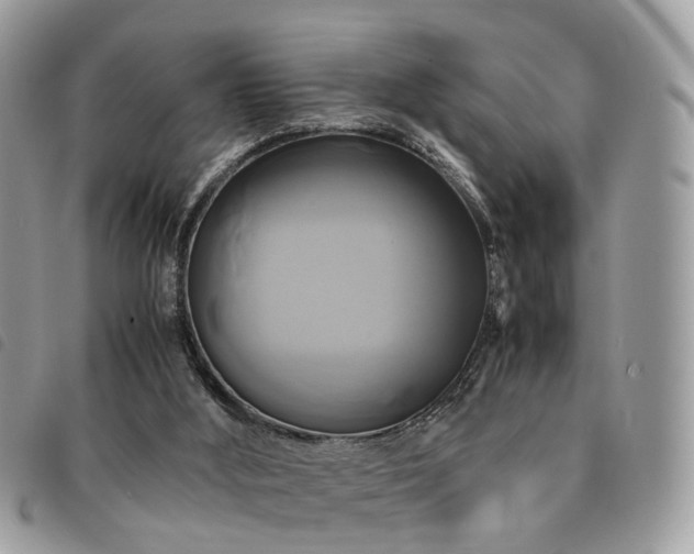 X0000091540012200708171254