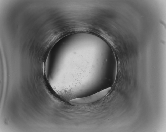 X0000091540013200708171254