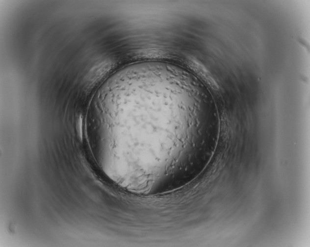 X0000091540014200708171254