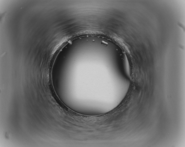 X0000091540015200708171254