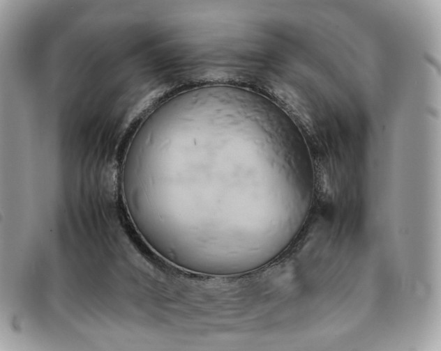 X0000091540016200708171254