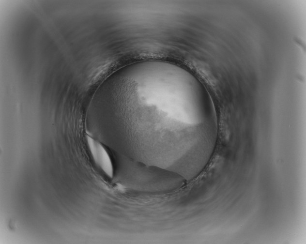 X0000091540017200708171254