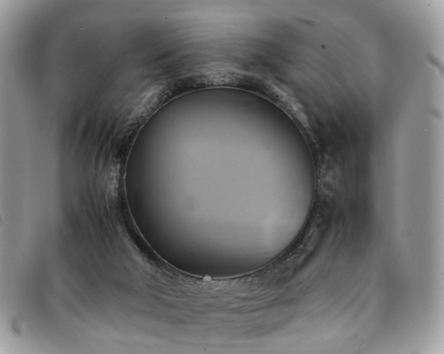 X0000091540018200708171254