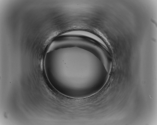 X0000091540019200708171254