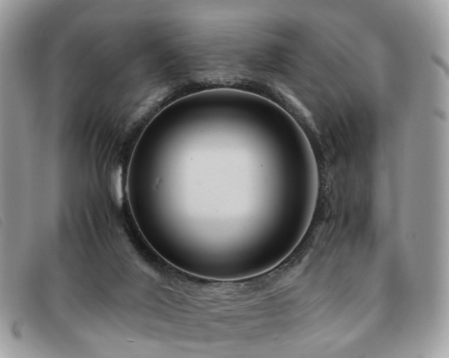 X0000091540020200708171254