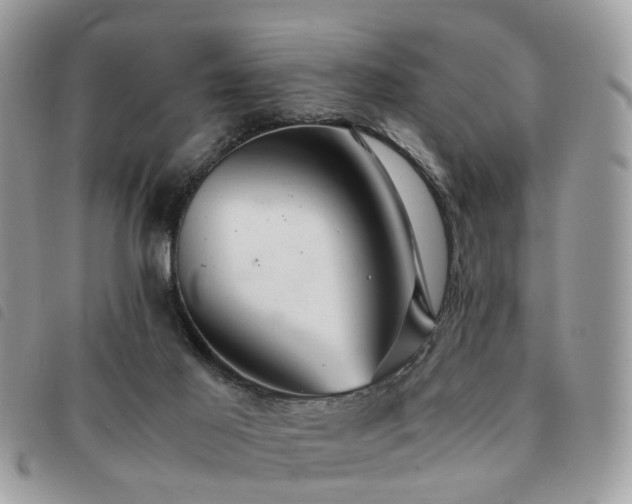 X0000091540021200708171254