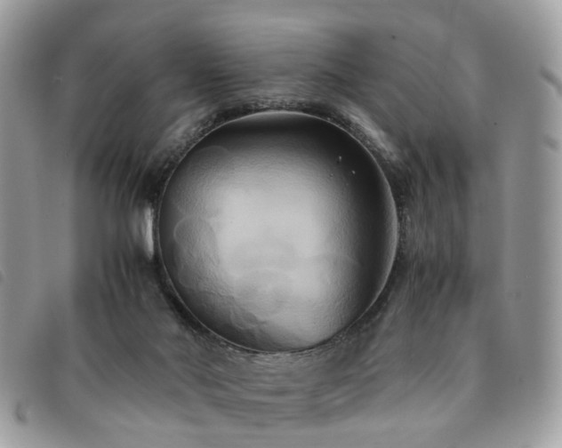 X0000091540022200708171254