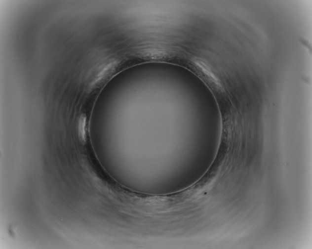 X0000091540024200708171254
