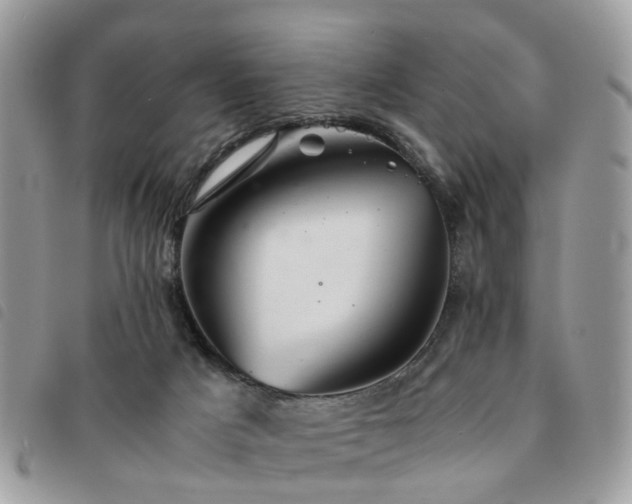 X0000091540025200708171254