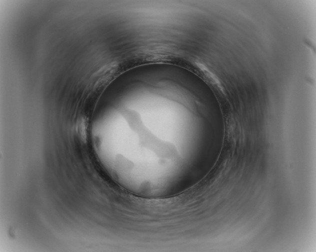 X0000091540026200708171254