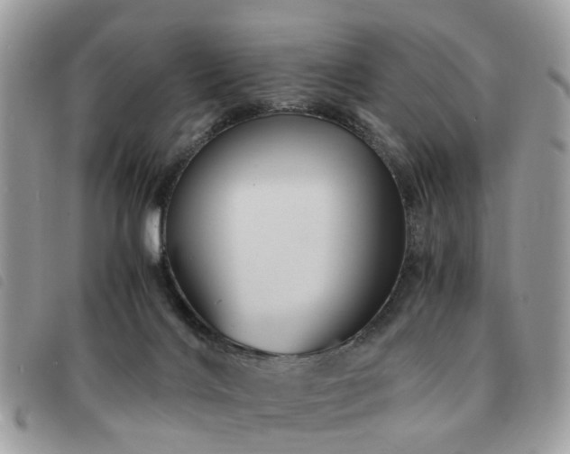 X0000091540028200708171254