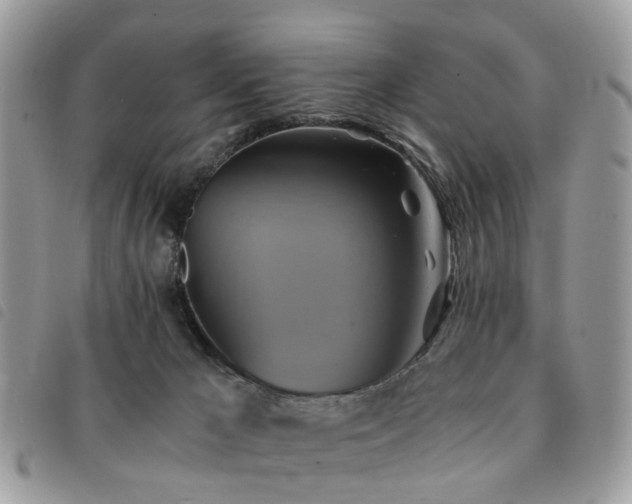 X0000091540029200708171254