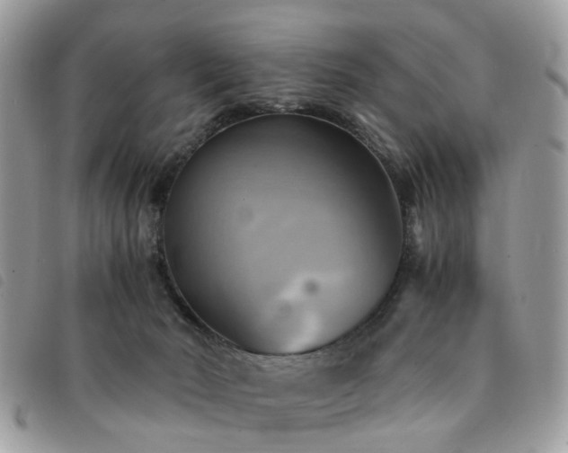 X0000091540030200708171254