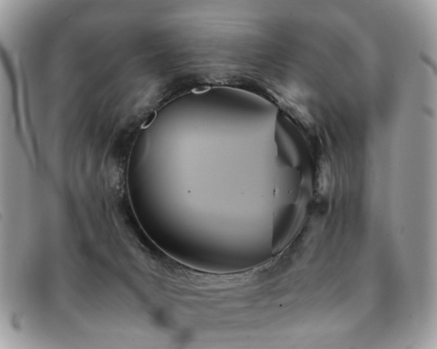 X0000091540031200708171254