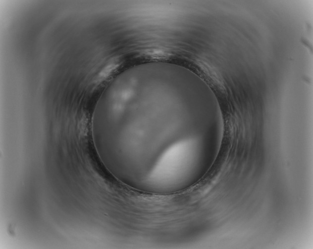 X0000091540032200708171254