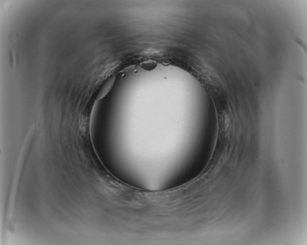 X0000091540033200708171254