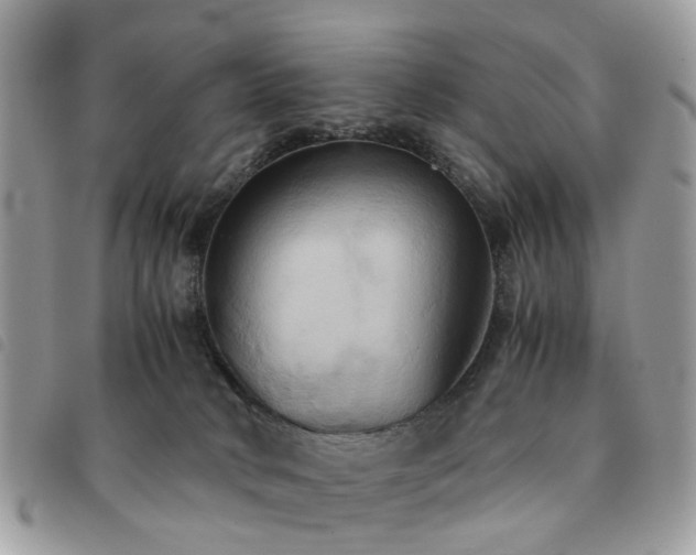X0000091540034200708171254