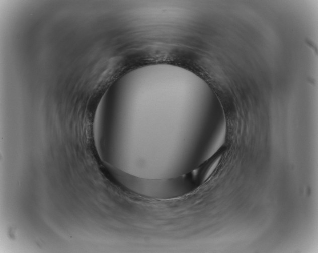 X0000091540035200708171254