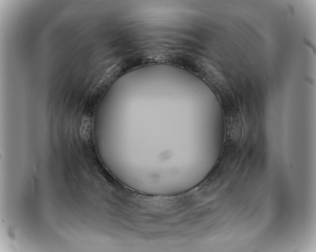 X0000091540036200708171254