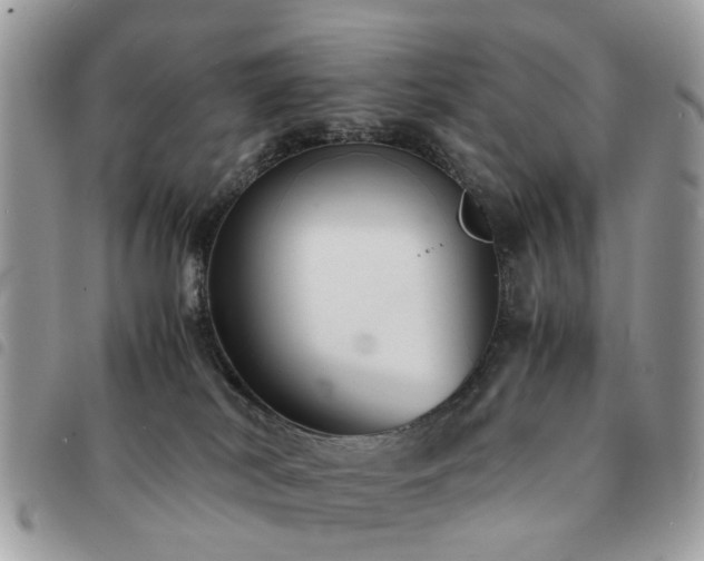 X0000091540038200708171254