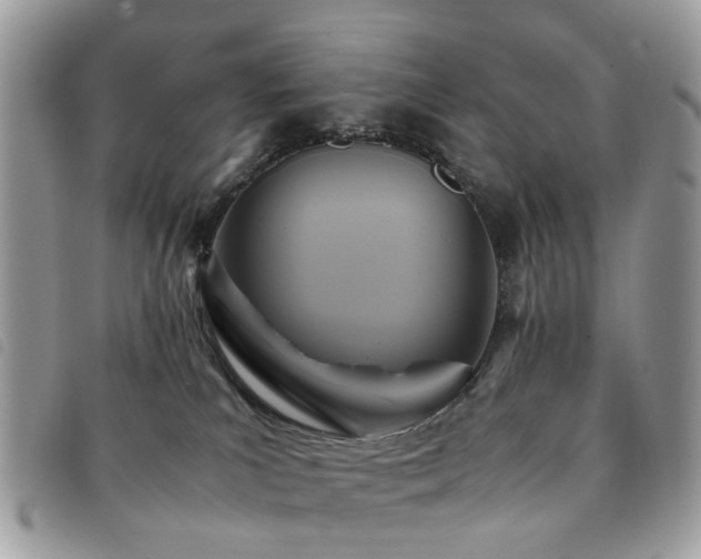 X0000091540039200708171254