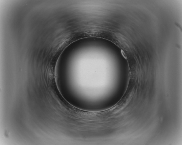 X0000091540040200708171254