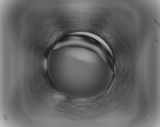 X0000091540041200708171254