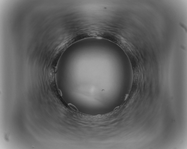 X0000091540043200708171254