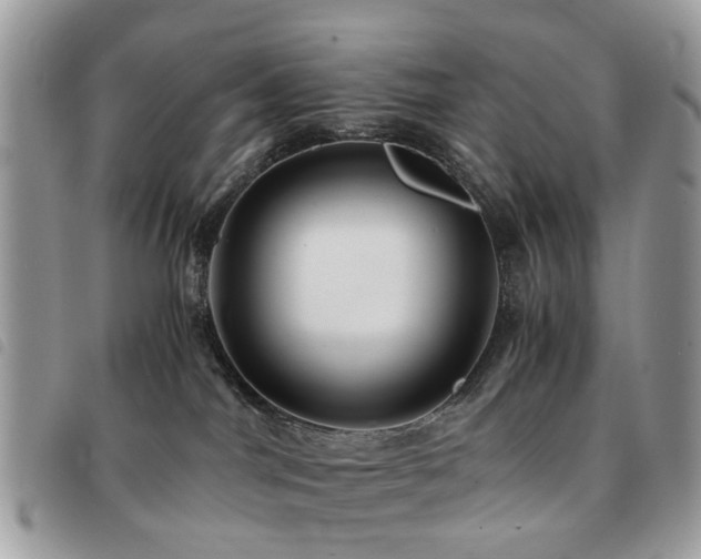 X0000091540044200708171254