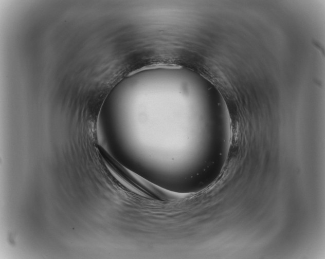 X0000091540045200708171254