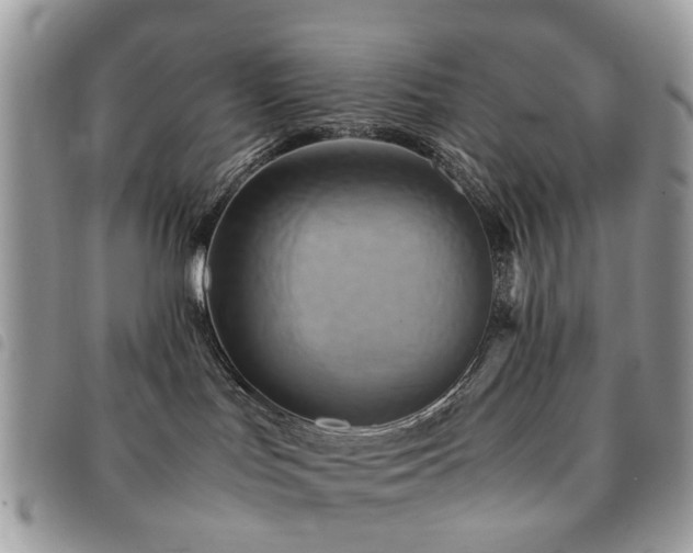 X0000091540047200708171254