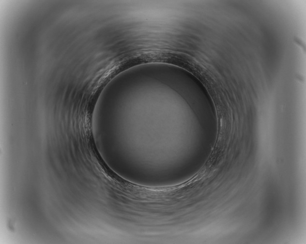 X0000091540048200708171254
