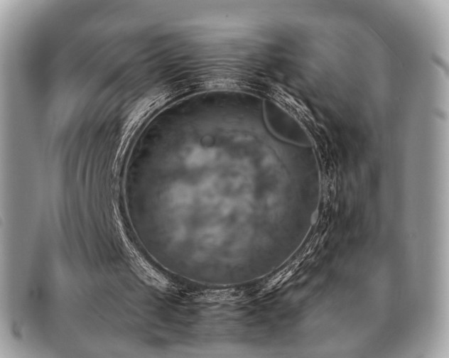 X0000091540049200708171253