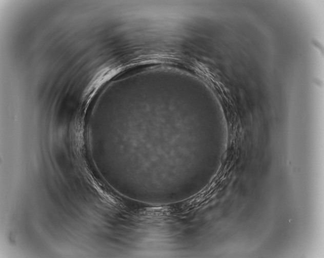 X0000091540050200708171253