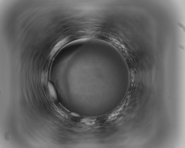 X0000091540051200708171253