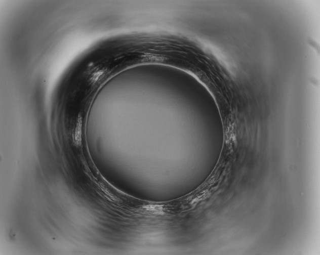 X0000091540052200708171253