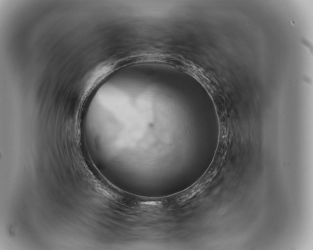 X0000091540053200708171253