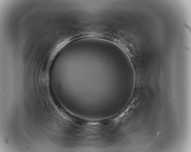 X0000091540055200708171253