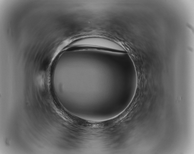 X0000091540056200708171253