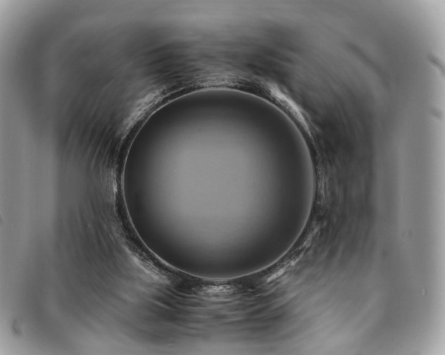 X0000091540059200708171253