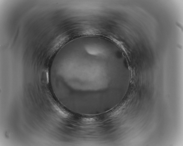 X0000091540061200708171253