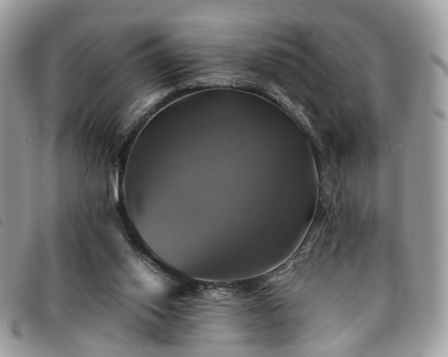 X0000091540062200708171253