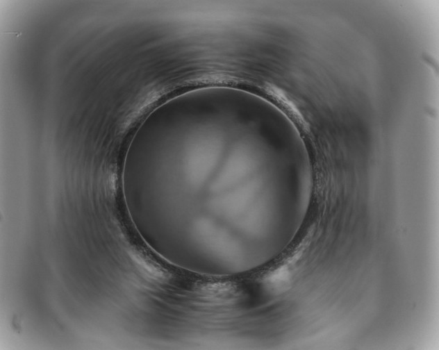 X0000091540063200708171253