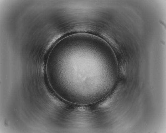 X0000091540064200708171253