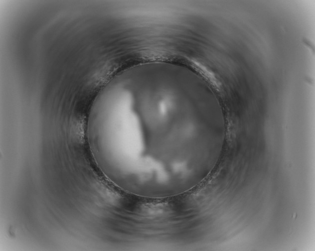 X0000091540065200708171253