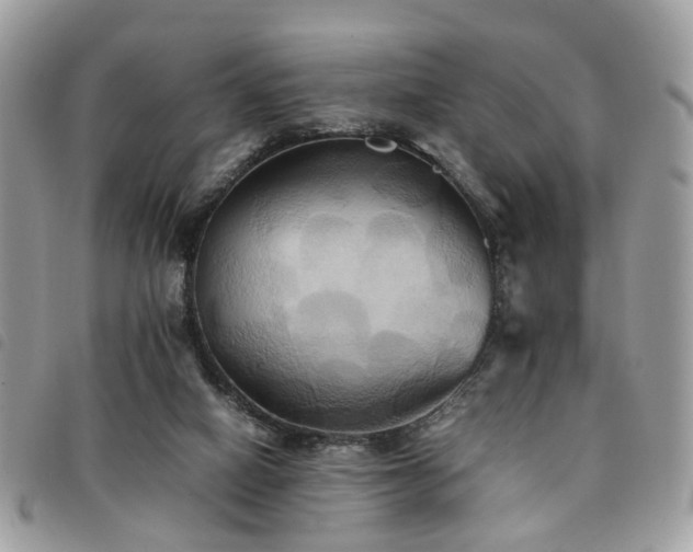 X0000091540066200708171253