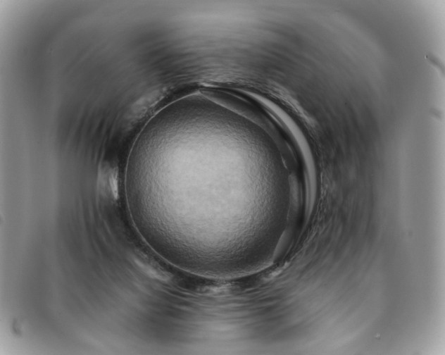 X0000091540068200708171253