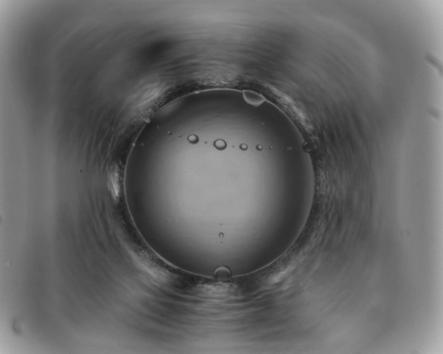 X0000091540069200708171253