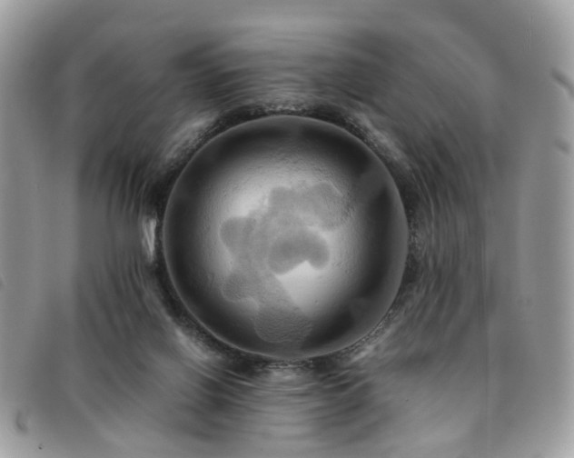 X0000091540070200708171253