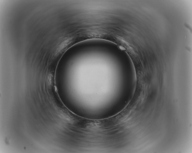 X0000091540071200708171253